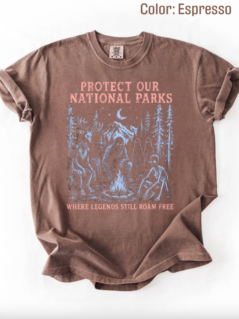 Comfort Colors Espresso National Parks Graphic Tee, 90s Protect Our Park tee